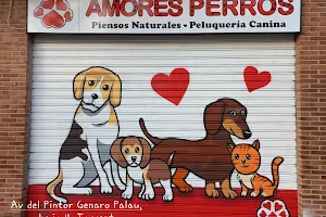 Amores Perros image