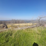 Photo n°6 de l'avis de Sabine.a fait le 10/09/2023 à 12:07 sur le  Hanskühnenburg à Bad Grund