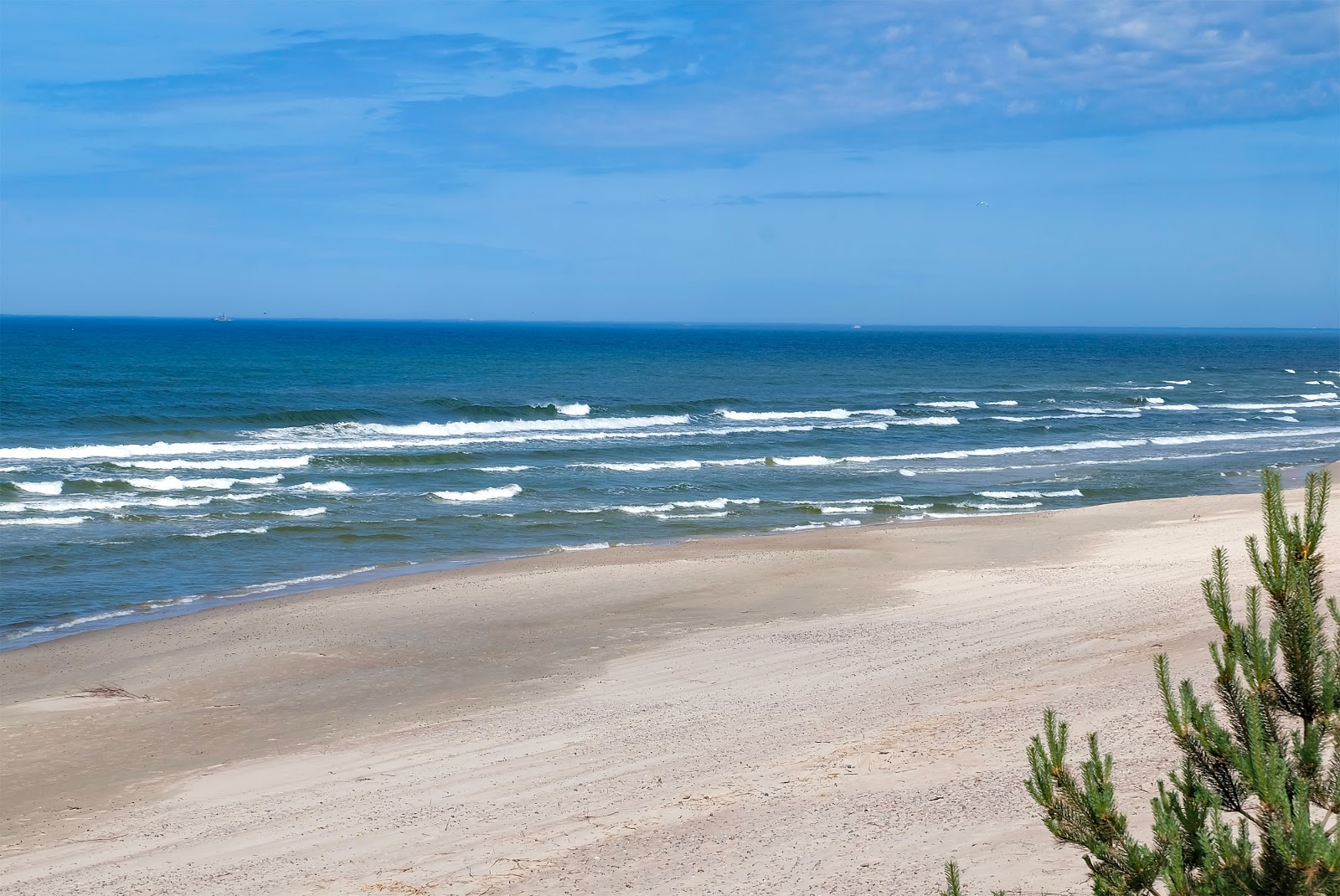 Foto von Skruzdynas Beach mit sehr sauber Sauberkeitsgrad
