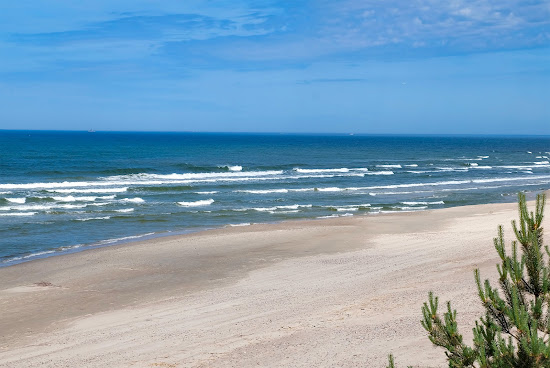 Skruzdynas Beach