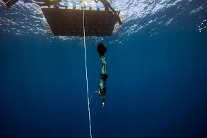 Zen Freediving image