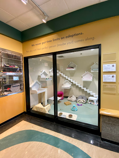 Animal Shelter «Oregon Humane Society», reviews and photos