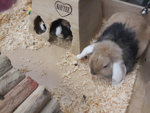 Pet Supply Store «Family Pet Store», reviews and photos, 38 Starrett Dr, Belfast, ME 04915, USA