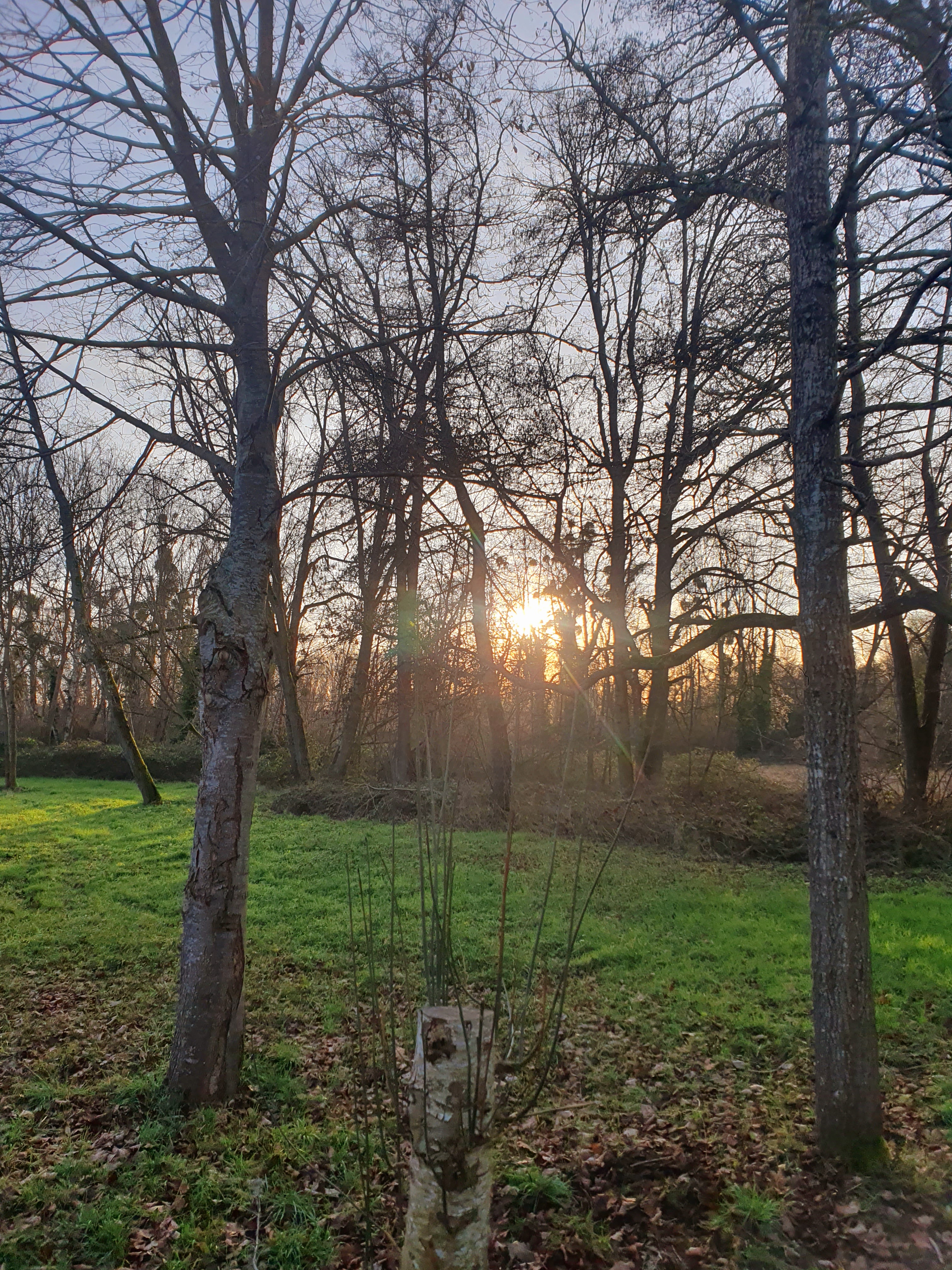 Photo n° 16 de l'avis de Albert.l fait le 27/01/2024 à 21:21