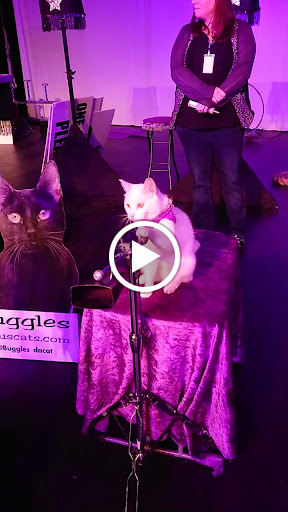 Performing Arts Theater «Carco Theatre», reviews and photos, 1717 Maple Valley Hwy, Renton, WA 98057, USA