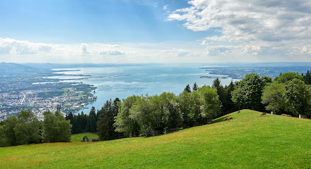 bodenseeimmo - Ihr Immobilienmakler in Lochau am Bodensee