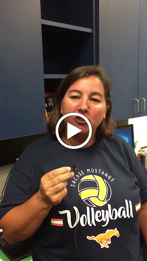 Insurance Agency «Integrity Insurance Group», reviews and photos