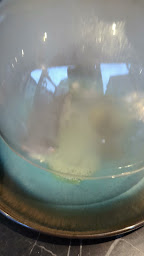 Photo n°49 de LE GOUT DU LARGE à Le Tréport ()