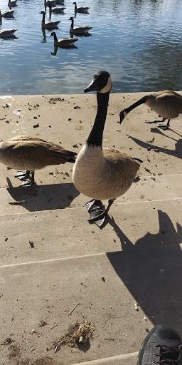 Park «Olympic Park», reviews and photos, 15501 E Yale Ave, Aurora, CO 80013, USA