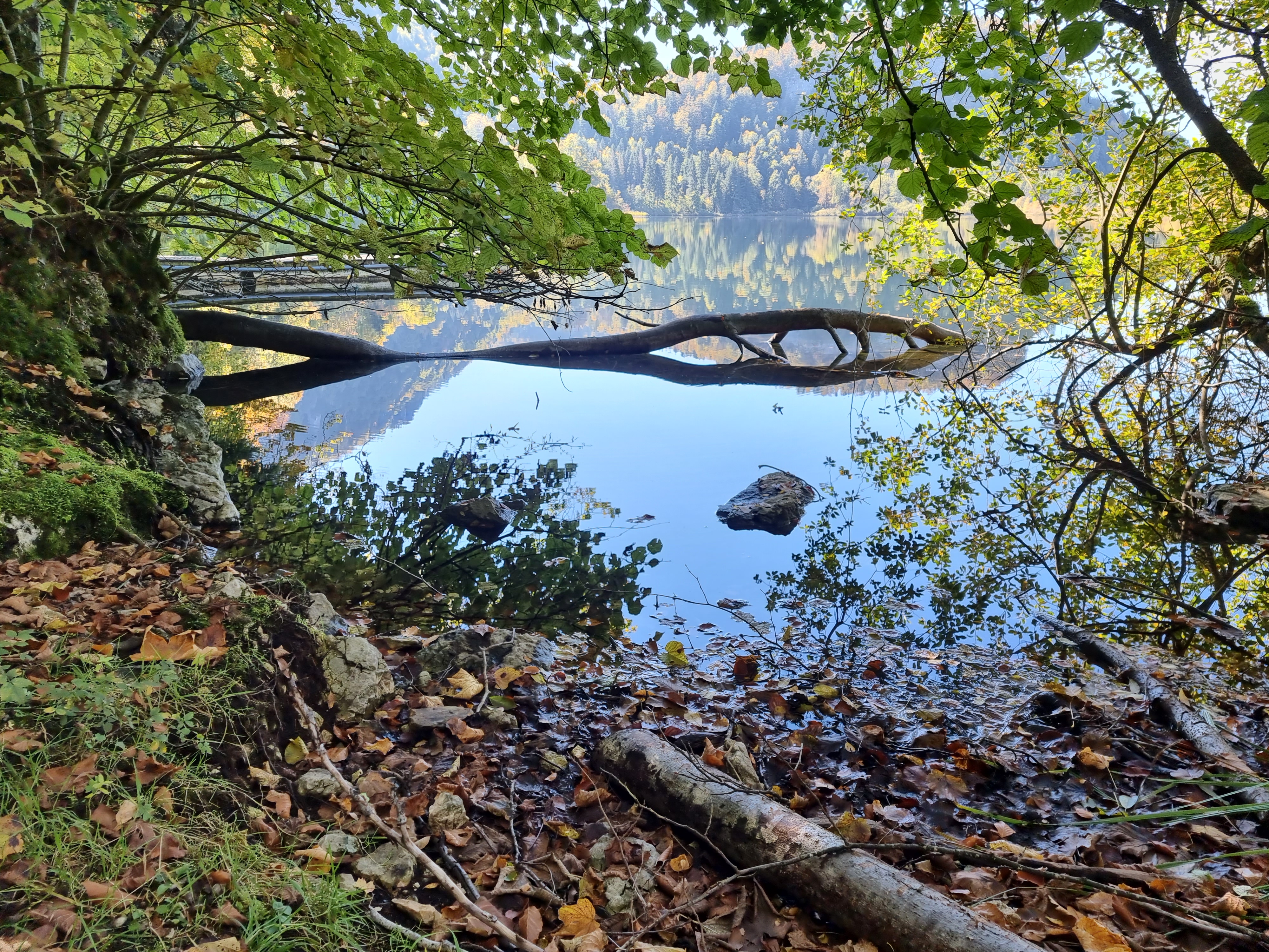 Photo n° 2 de l'avis de Viktória.i fait le 16/10/2021 à 14:46
