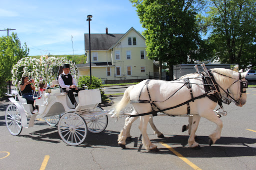 Learning Center «Imagine Nation Museum Early Learning Center», reviews and photos, 1 Pleasant St, Bristol, CT 06010, USA