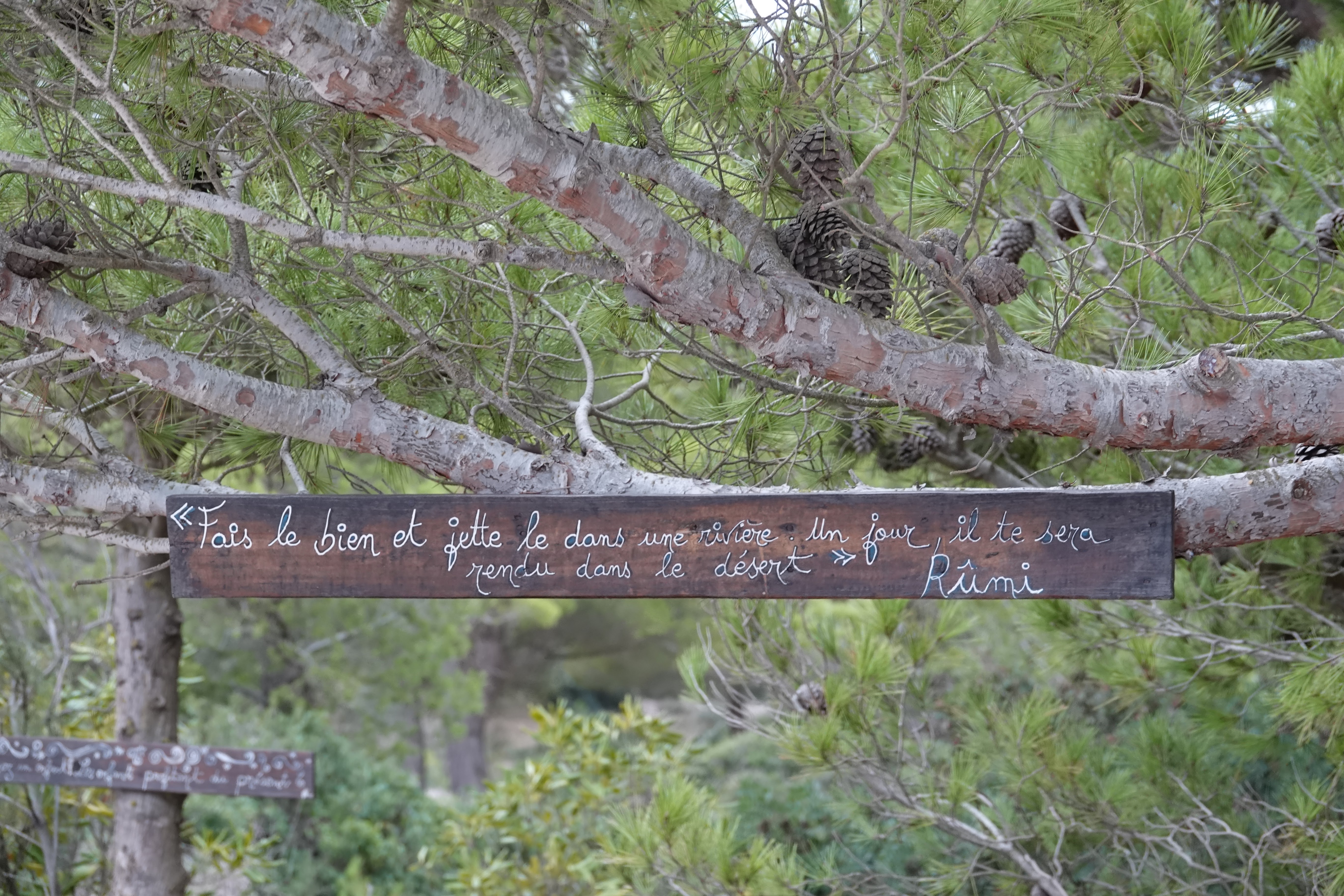 Photo n° 11 de l'avis de Benoît.R fait le 10/11/2023 à 12:09