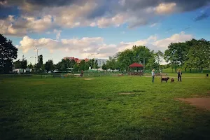 Dog park image