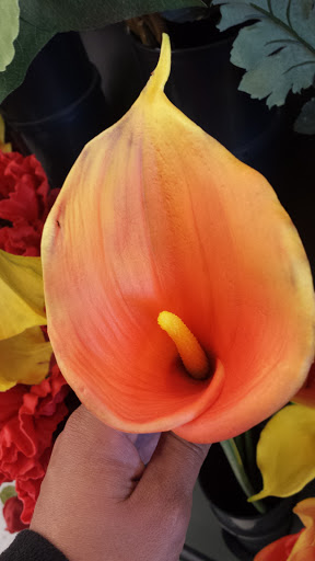 Craft Store «Hobby Lobby», reviews and photos, 111 Wilson Ave #3, Hanover, PA 17331, USA