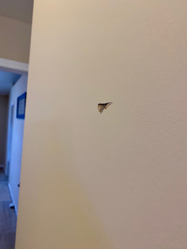 Moving and Storage Service «Here To There Movers», reviews and photos, 6800 E 30th St, Indianapolis, IN 46219, USA