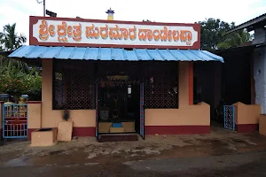 Shri Dandelappa Swamy Temple image