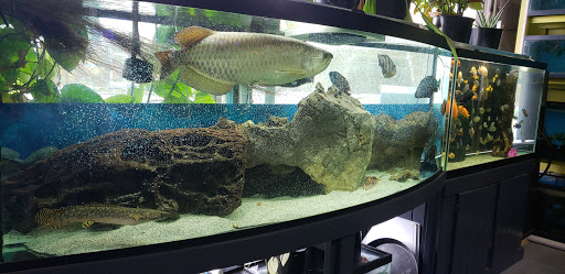 Fish Farm «Aquarium & Garden Inc.», reviews and photos, 1610 S 341st Pl f, Federal Way, WA 98003, USA