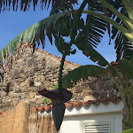 Photo n°15 de l'avis de Elisabetta.' fait le 09/05/2018 à 08:56 sur le  Grand Hotel Santa Maria à Santa Maria di Castellabate