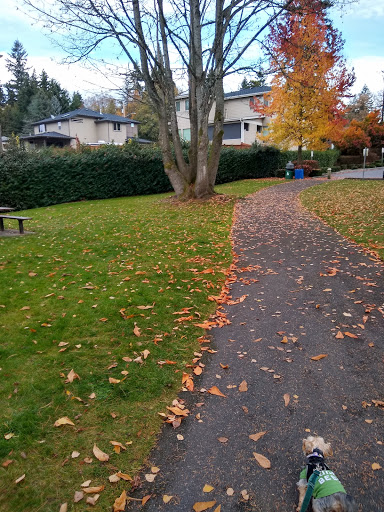Park «North Lynnwood Park», reviews and photos, 18510 44th Ave W, Lynnwood, WA 98037, USA