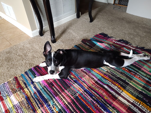 Pet Supply Store «Petco Animal Supplies», reviews and photos, 1150 S Main St, Englewood, OH 45322, USA