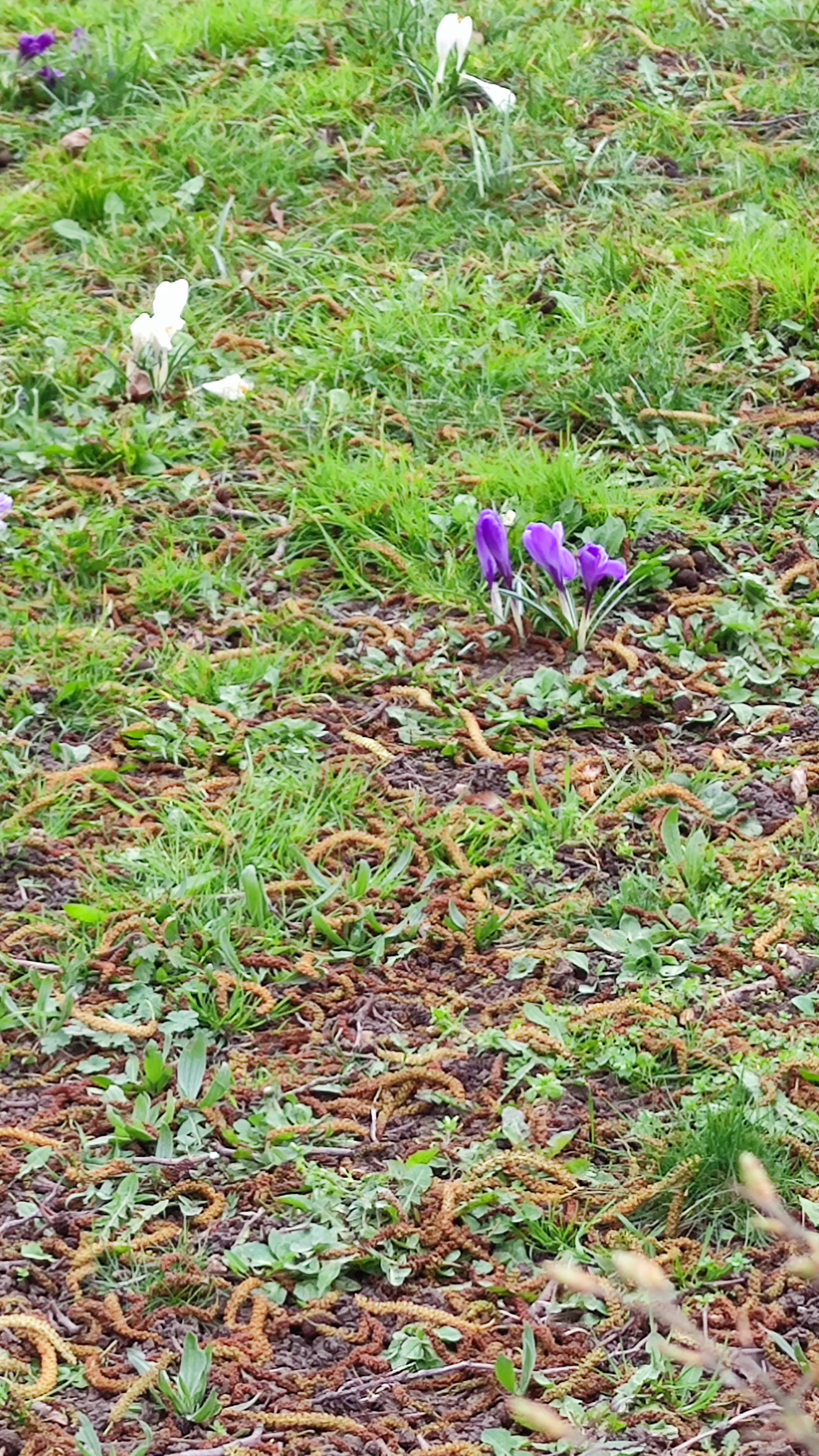 Photo n° 2 de l'avis de Brigitte.o fait le 12/03/2022 à 16:22