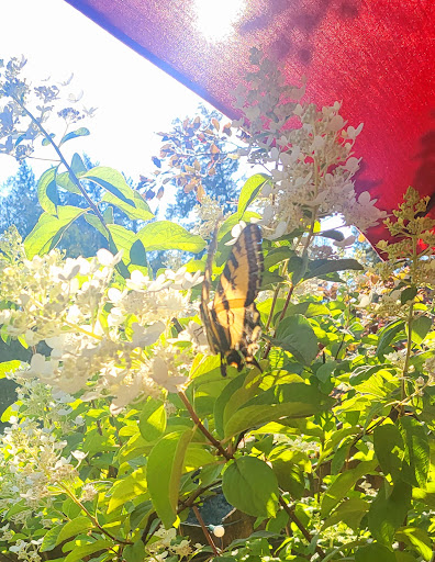 Bar & Grill «Skyway Bar & Grill», reviews and photos, 71545 US-26, Zigzag, OR 97049, USA