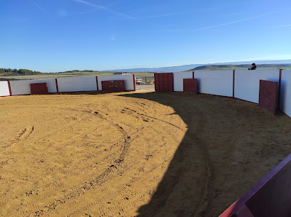 Finca Patriarca – La Acebeda