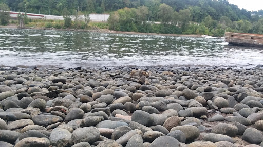 Park «Sellwood Riverfront Park», reviews and photos, SE Oaks Park Way, Portland, OR 97202, USA
