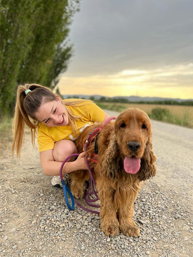 Pensioni per cani e dog hotel a Nico's Dog Village