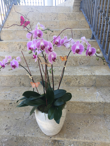 Florist «Seasons Flowers of South Beach», reviews and photos, 1526 Alton Rd, Miami Beach, FL 33139, USA