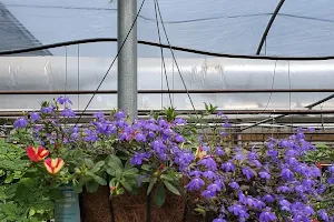 Floralcrest Florist-Greenhouse image