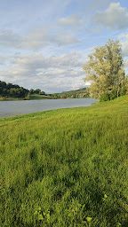 Photo n°8 de Lac Bajamont à Bajamont ()