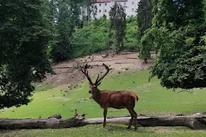 Wild Park Castle Ortenburg image