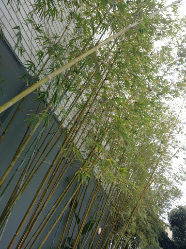 Diner «101 Coffee Shop», reviews and photos, 6145 Franklin Ave, Hollywood, CA 90028, USA