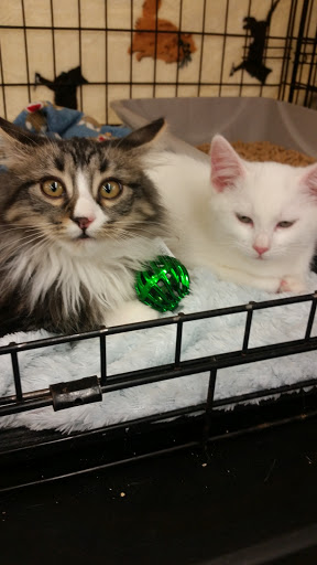 Pet Supply Store «Pet Food Express», reviews and photos, 3160 20th Ave, San Francisco, CA 94132, USA