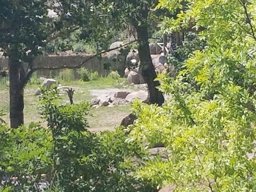 Zoo «Desert Dome & Kingdoms of the Night», reviews and photos, 3701 S 10th St, Omaha, NE 68108, USA