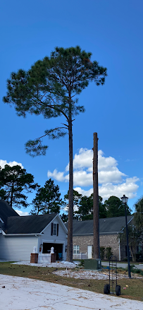 Extreme Tree Service Myrtle Beach, SC - Photo 2 - Car repair in Myrtle Beach, SC, Myrtle Beach