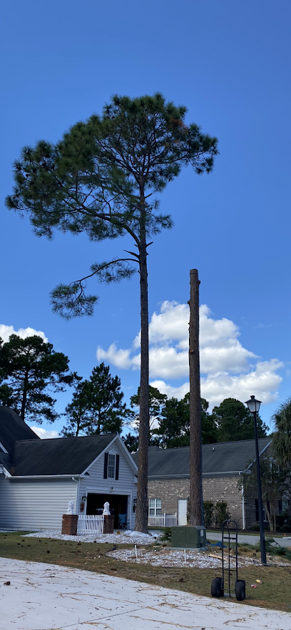 Extreme Tree Service Myrtle Beach, SC