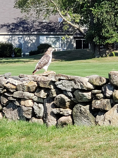 Golf Club «Louisquisset Golf Club», reviews and photos, 1 Overlook Pkwy, North Providence, RI 02904, USA