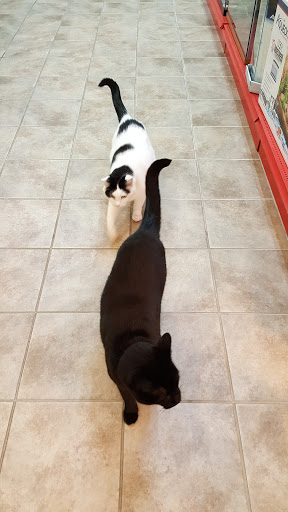 Pet Supply Store «Living Things», reviews and photos, 3437 PA-309, Orefield, PA 18069, USA