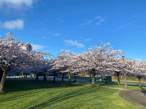 Historic Stanley Park Bus Loop, Stanley Park, Vancouver, BC V6G 3B3