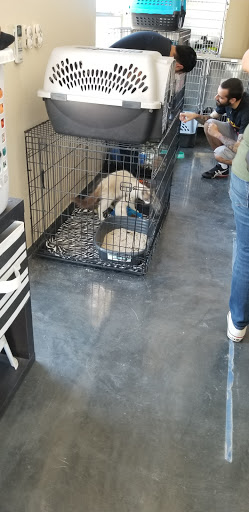 Animal Shelter «Humane Society of El Paso», reviews and photos