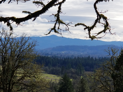Park «Willamette Heights Park», reviews and photos, 508 Valley View, Springfield, OR 97477, USA