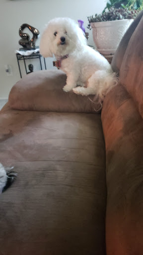 Pet Supply Store «Petsense Fort Worth», reviews and photos, 1408 Eastchase Pkwy #100, Fort Worth, TX 76120, USA