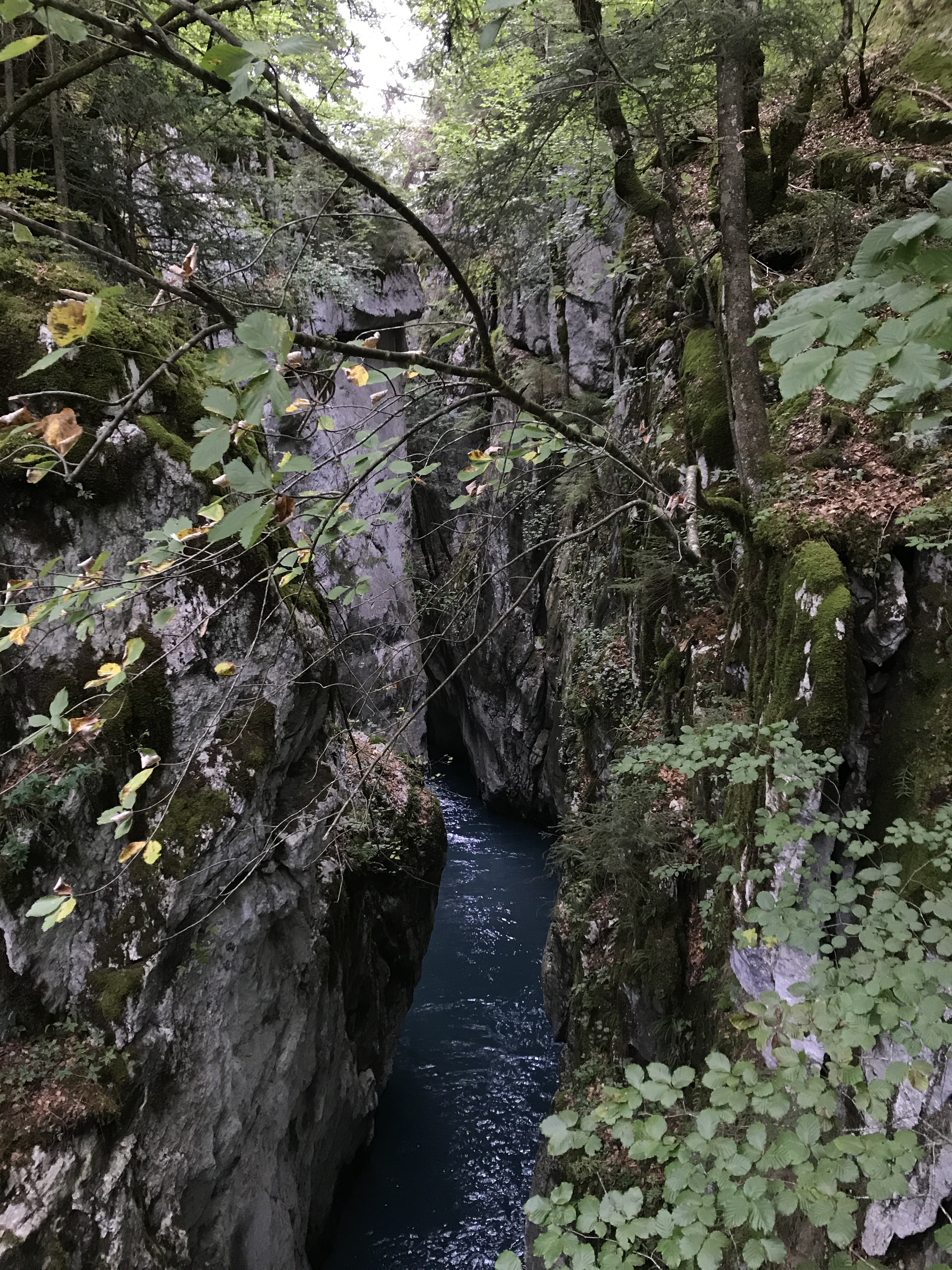 Photo n° 3 de l'avis de Sylvain.A fait le 11/09/2020 à 19:52