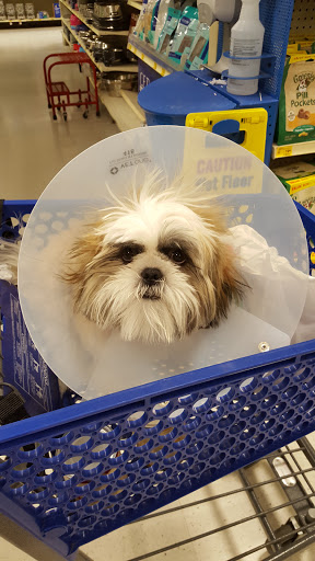 Pet Supply Store «PetSmart», reviews and photos, 155 E Rte 59, Nanuet, NY 10954, USA
