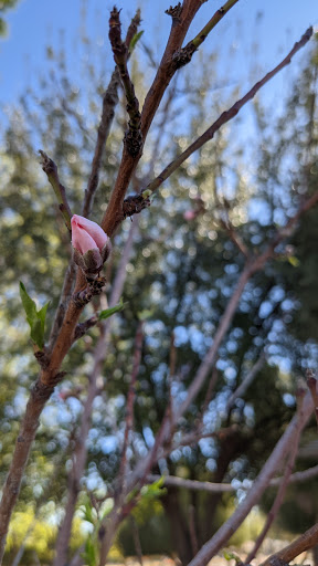 Park «Daley Park», reviews and photos, 1625 S College Ave, Tempe, AZ 85281, USA