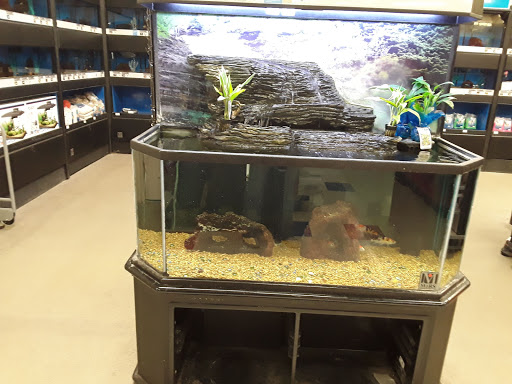 Craft Store «Michaels», reviews and photos, 31080 Dyer St, Union City, CA 94587, USA