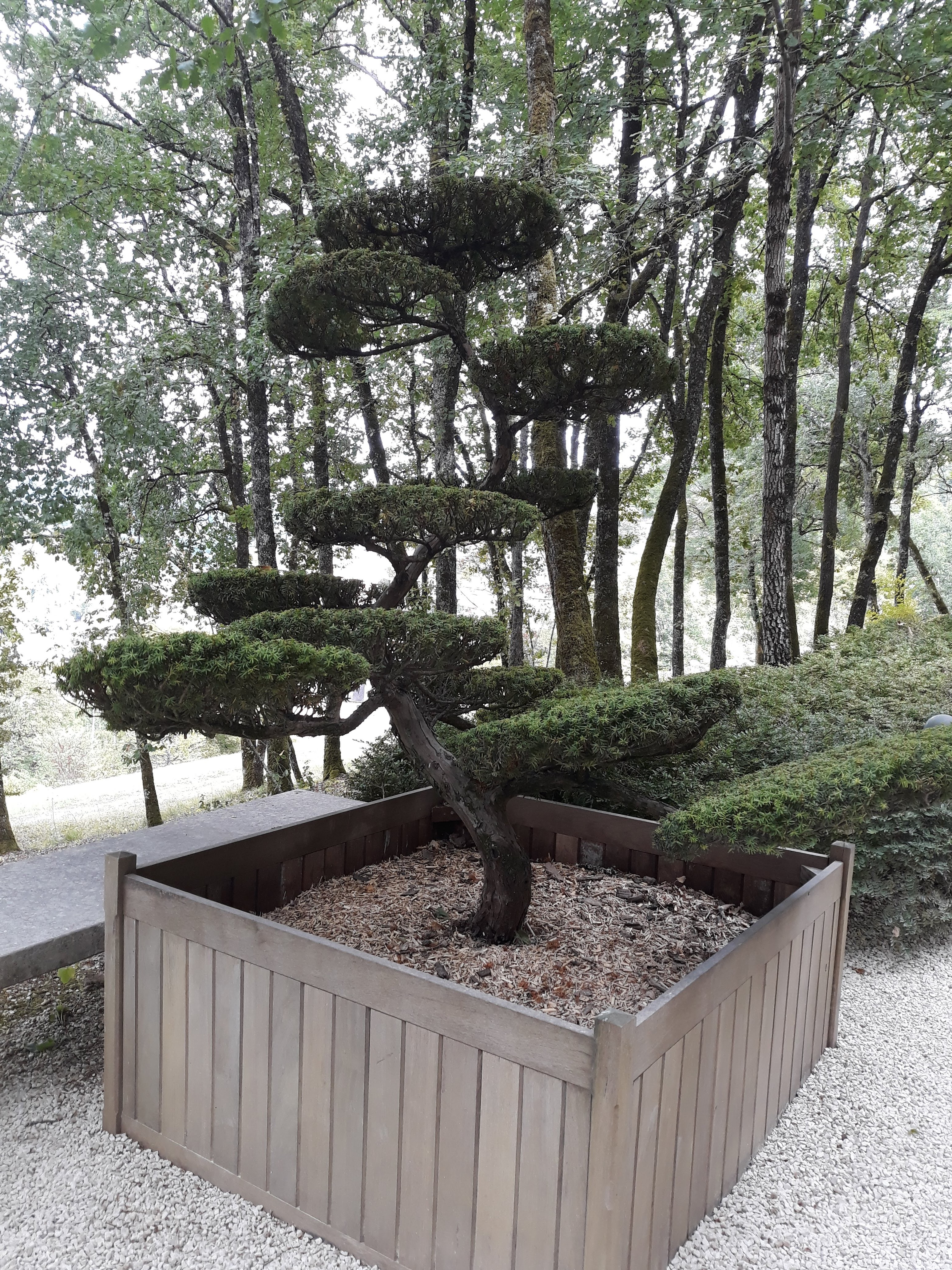 Photo n° 3 de l'avis de Marino.I fait le 08/09/2019 à 19:43