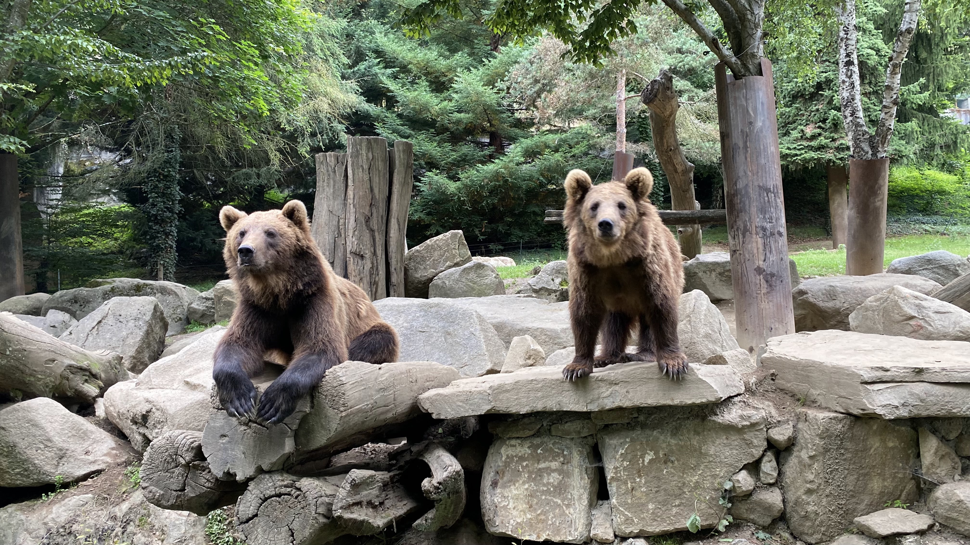 Photo n° 3 de l'avis de Jérémie.o fait le 10/07/2021 à 20:40